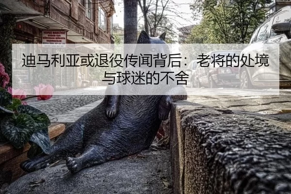 迪马利亚或退役传闻背后：老将的处境与球迷的不舍（333Sports）
